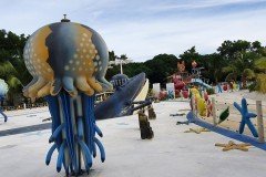 jellyfish-1