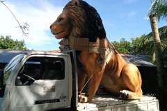 received_539063776889982